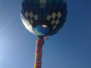 Сетка с воздушными шарами