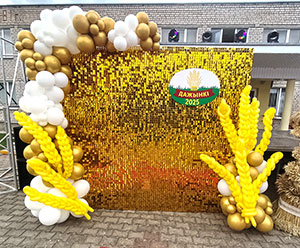 Фотозона на Дожинки из шаров и золотых пайеток